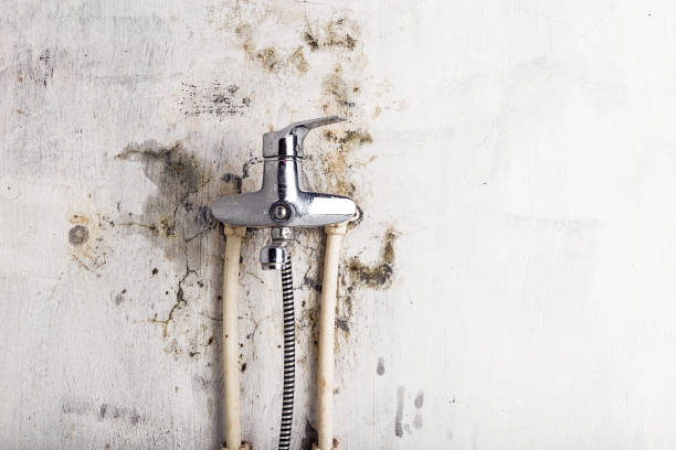 Best Water Damage Restoration  in Highgrove, CA