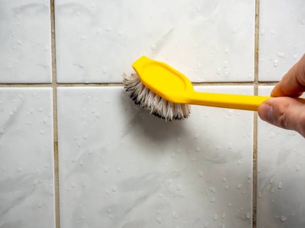 Mold Testing and Removal in Highgrove, CA