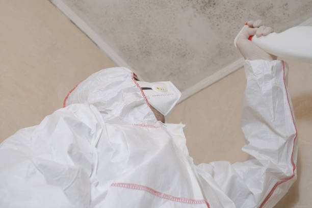 Best Mold Damage Repair  in Highgrove, CA