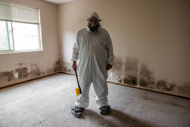 Best Toxic Mold Removal  in Highgrove, CA